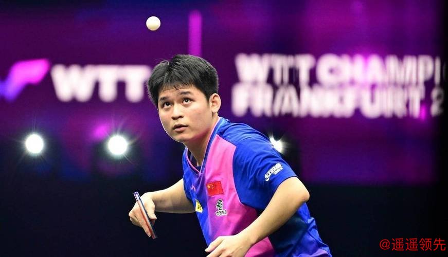林诗栋险胜，向鹏黄友政出局，男单八强已出四席，国乒占了两席