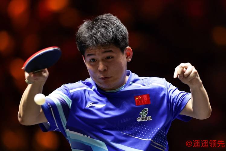 林诗栋险胜，向鹏黄友政出局，男单八强已出四席，国乒占了两席