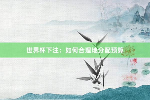 世界杯下注：如何合理地分配预算